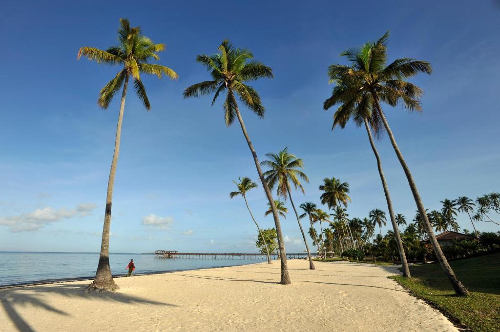 The Zanzibar Kizimkazi