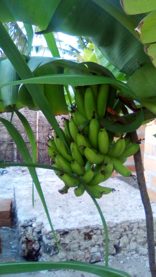 Homestay Mau'splace - Authentic Afrikan House Jambiani (Zanzibar)