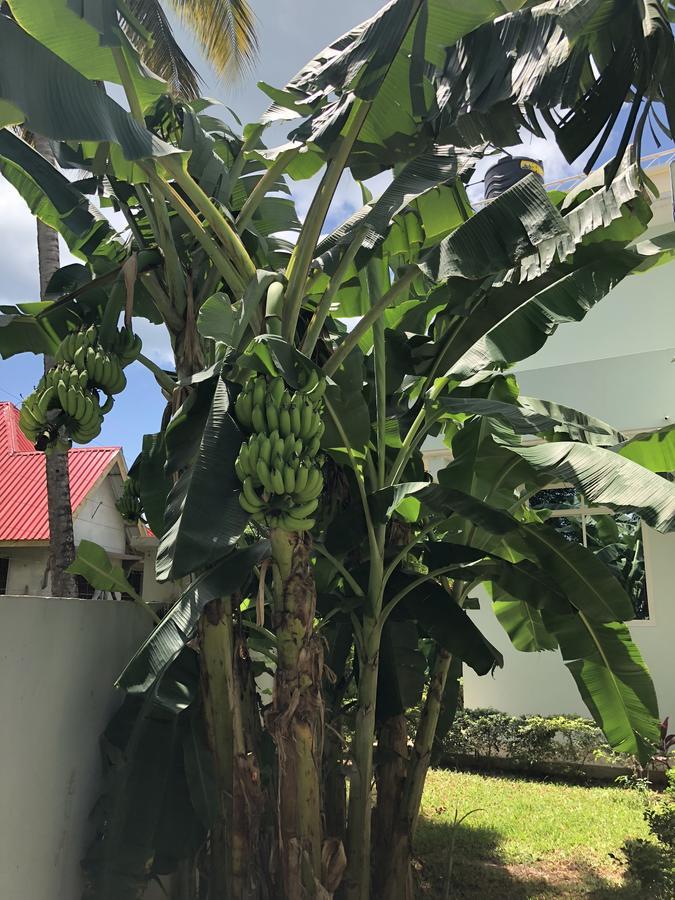 Aparthotel Turaco 3*