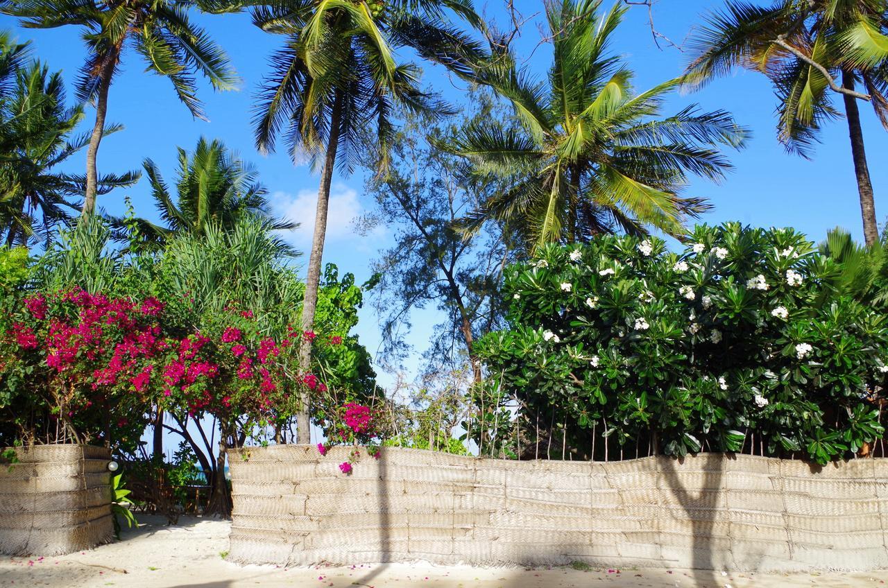 Kimte Jambiani (Zanzibar)