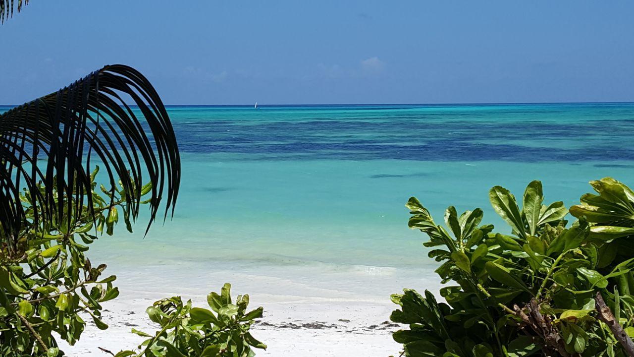 Bed & Breakfast Mina Beachhouse 2*