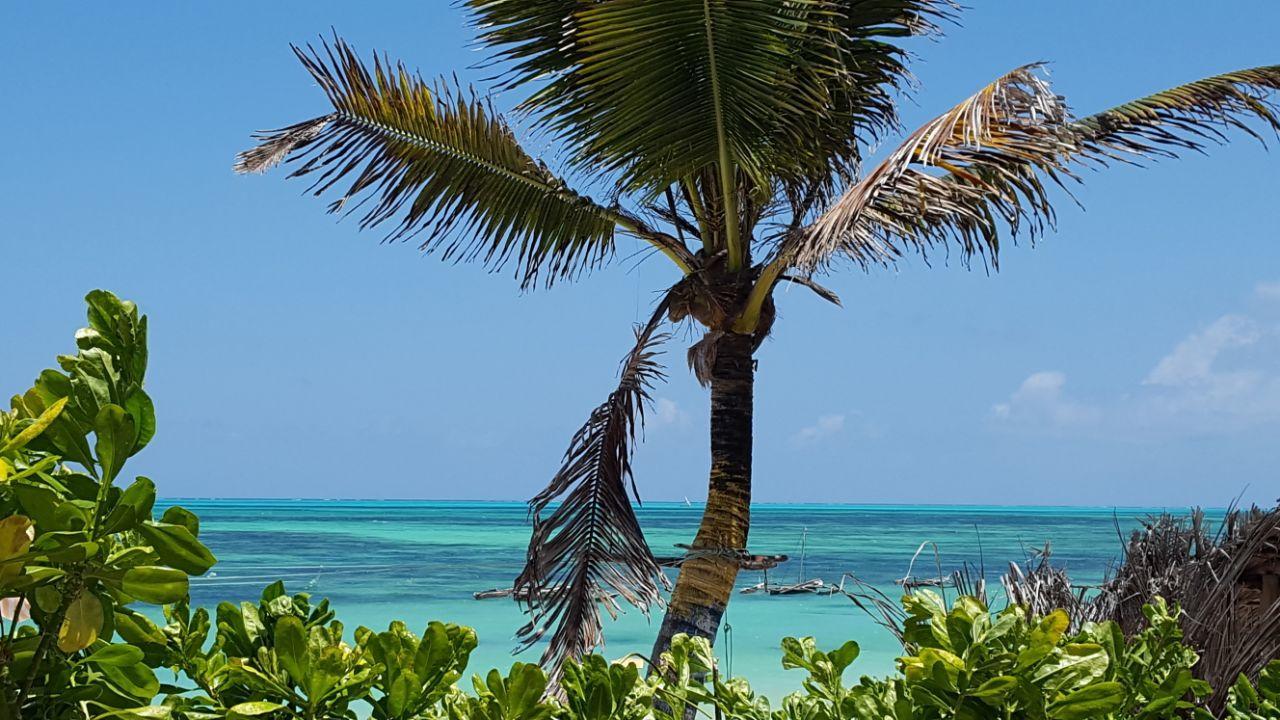 Bed & Breakfast Mina Beachhouse 2*