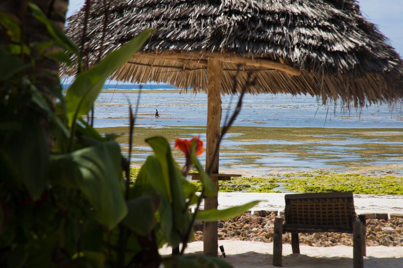 Resort Milele Pingwe