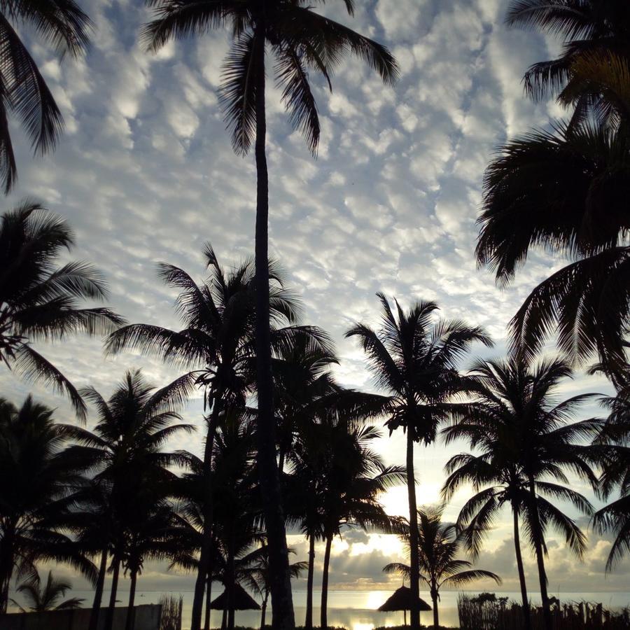 Palm 3* Bwejuu