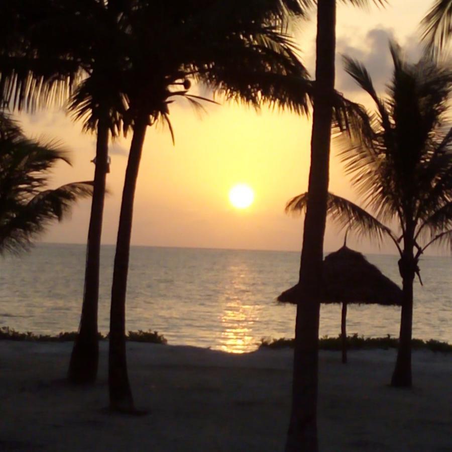 Palm 3* Bwejuu