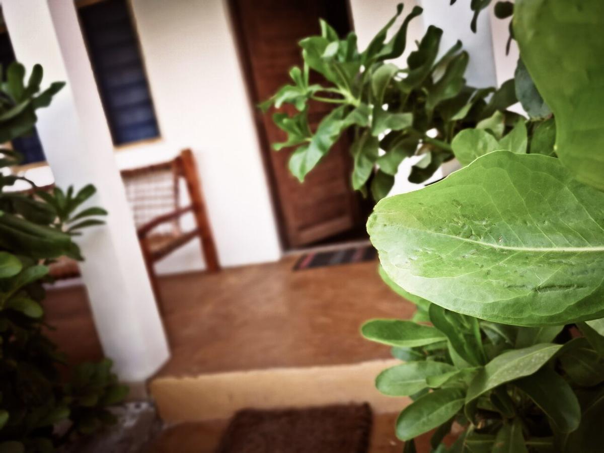 Bed & Breakfast Dodoki Beach B&B Nungwi