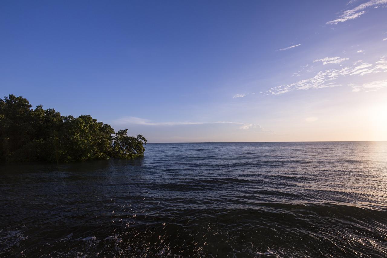 The Island Sea View Hotel 3*
