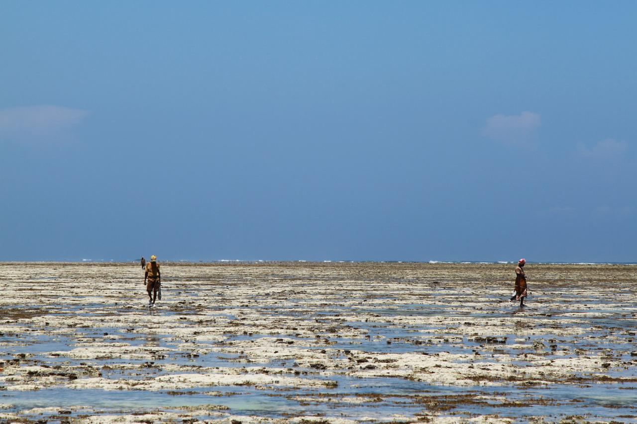 Ujamaa Resort Makunduchi