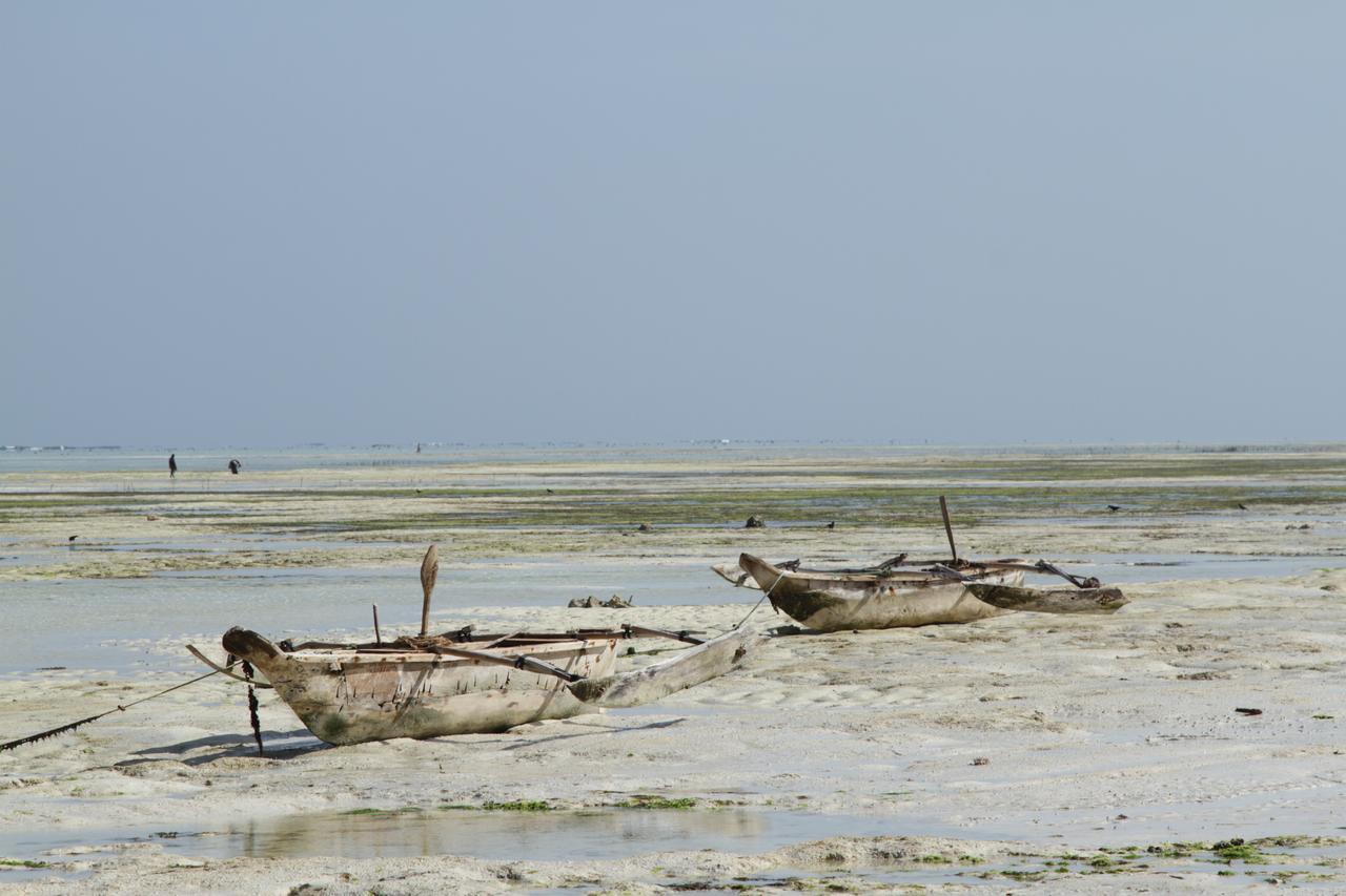 Ujamaa Makunduchi