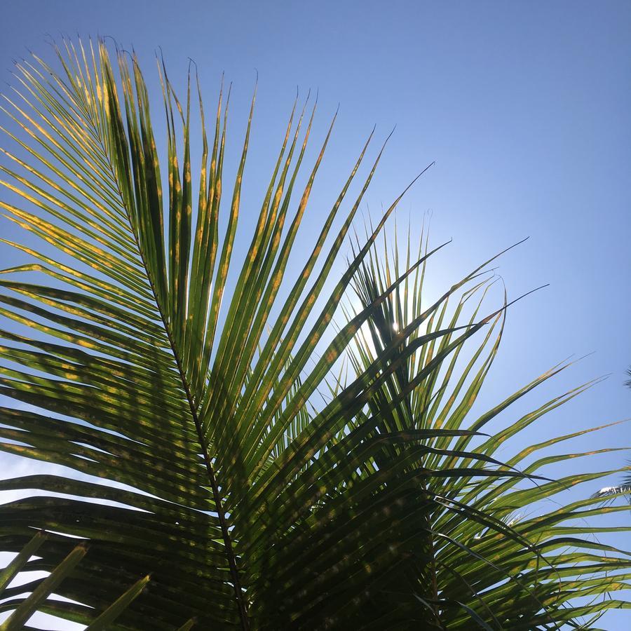 Barefoot Zanzibar 3*