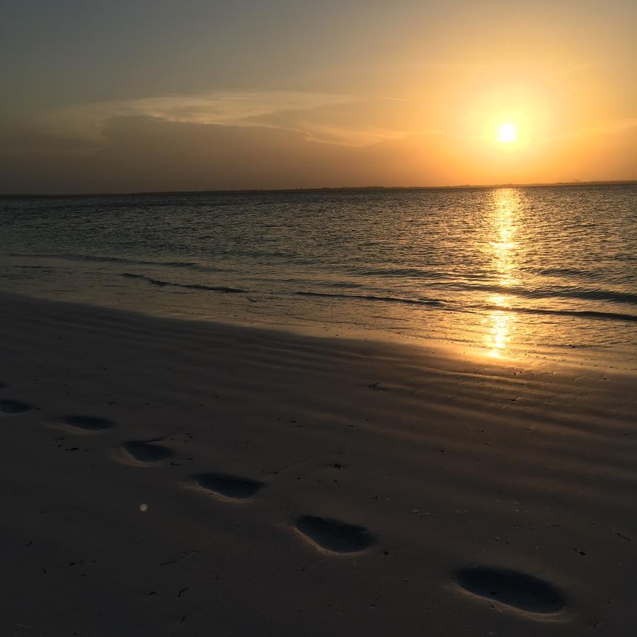 Barefoot Zanzibar