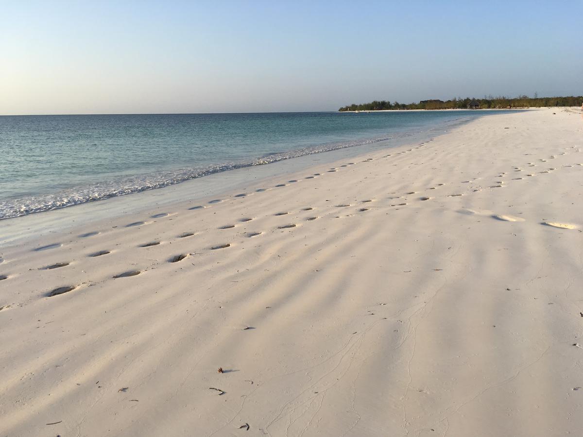 Barefoot Zanzibar
