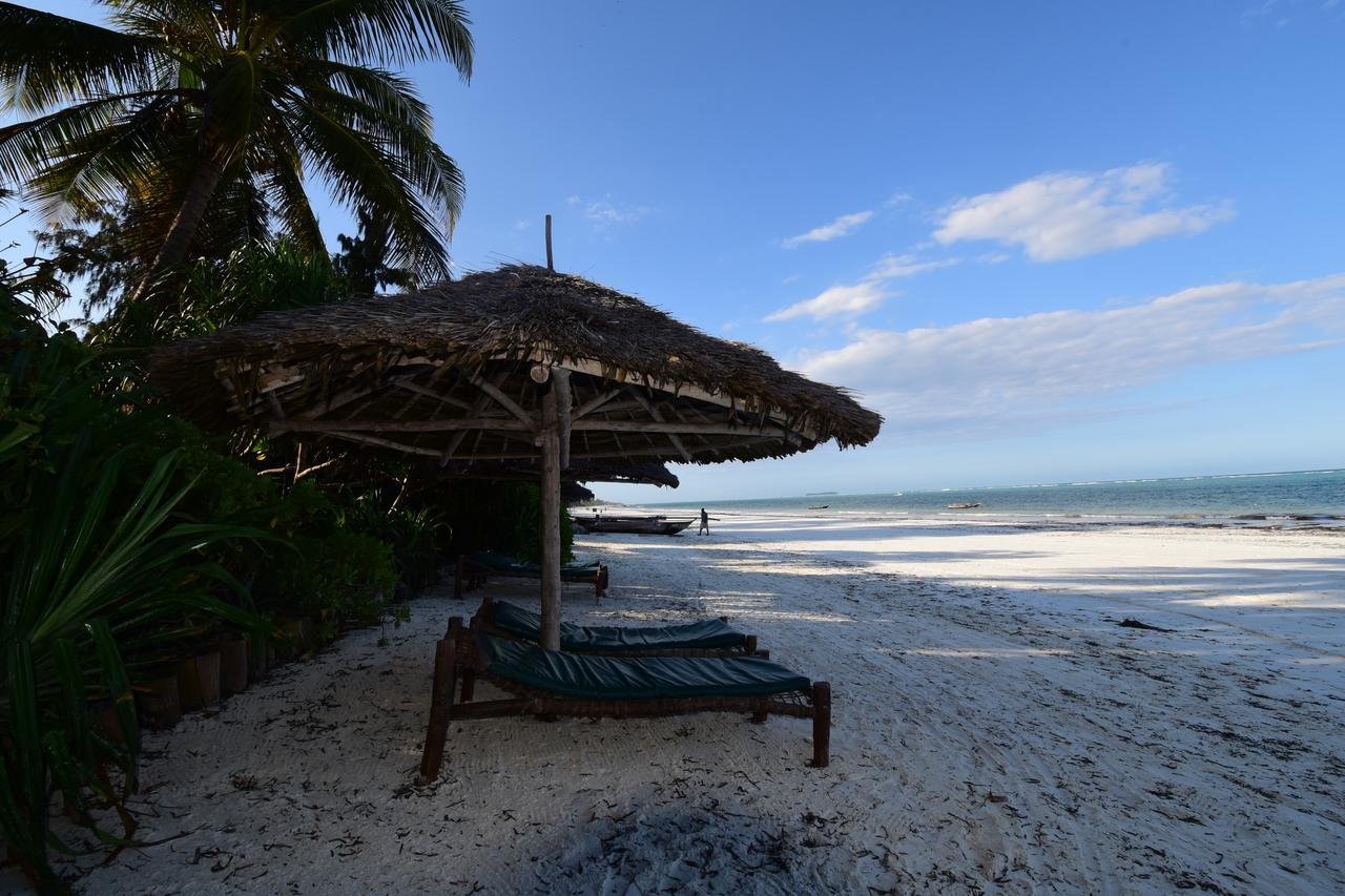 Tamani * Matemwe (Zanzibar)