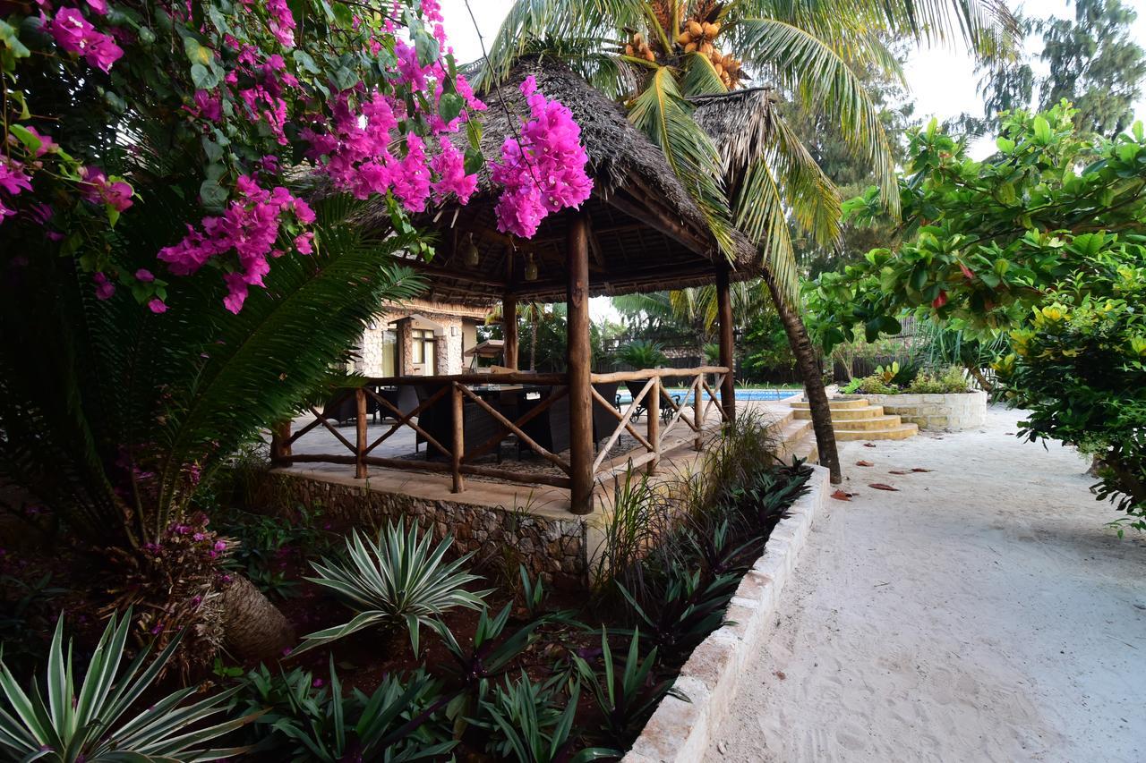 Tamani * Matemwe (Zanzibar)
