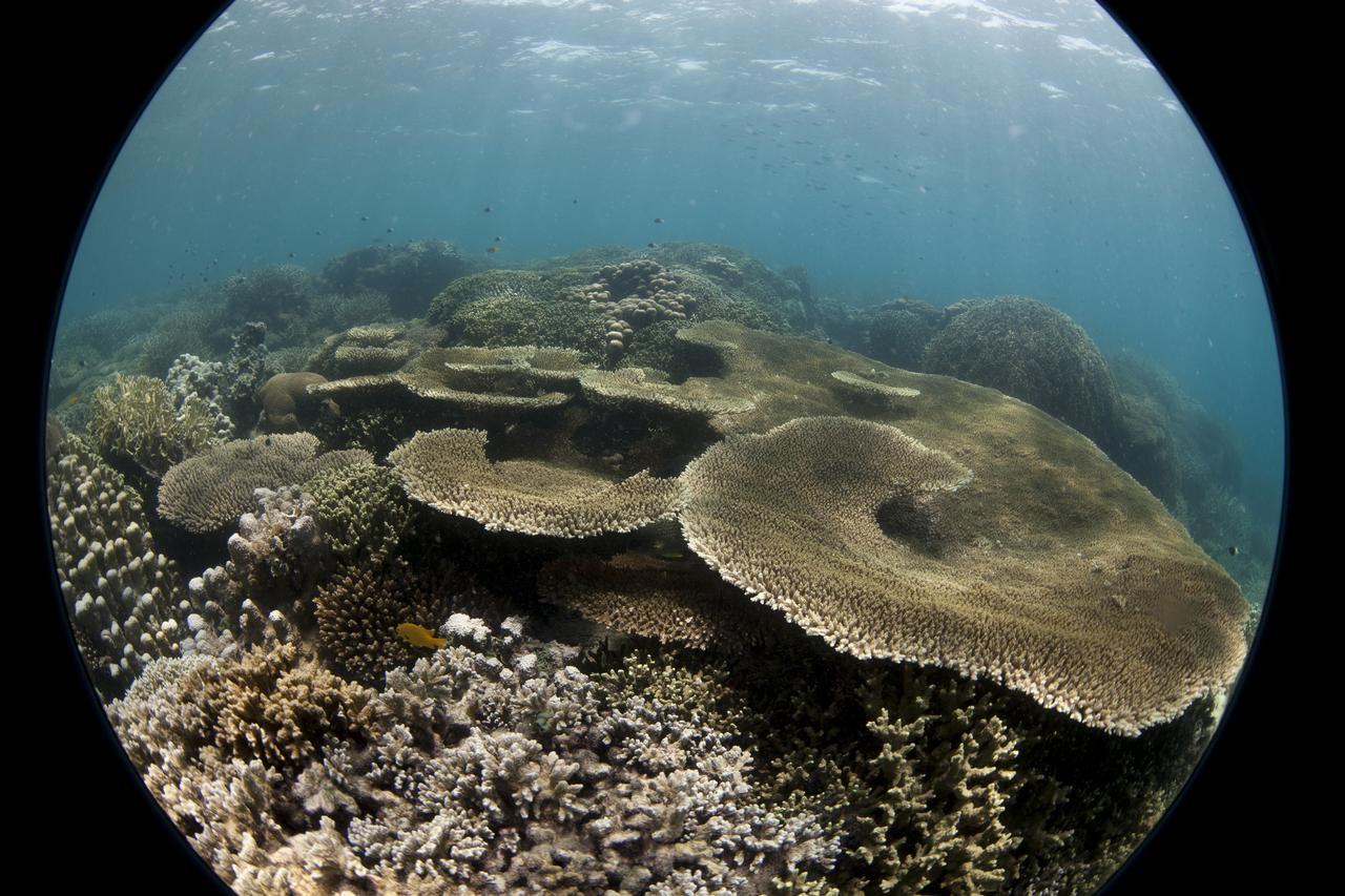 Chumbe Island Coral Park Resort Mbweni