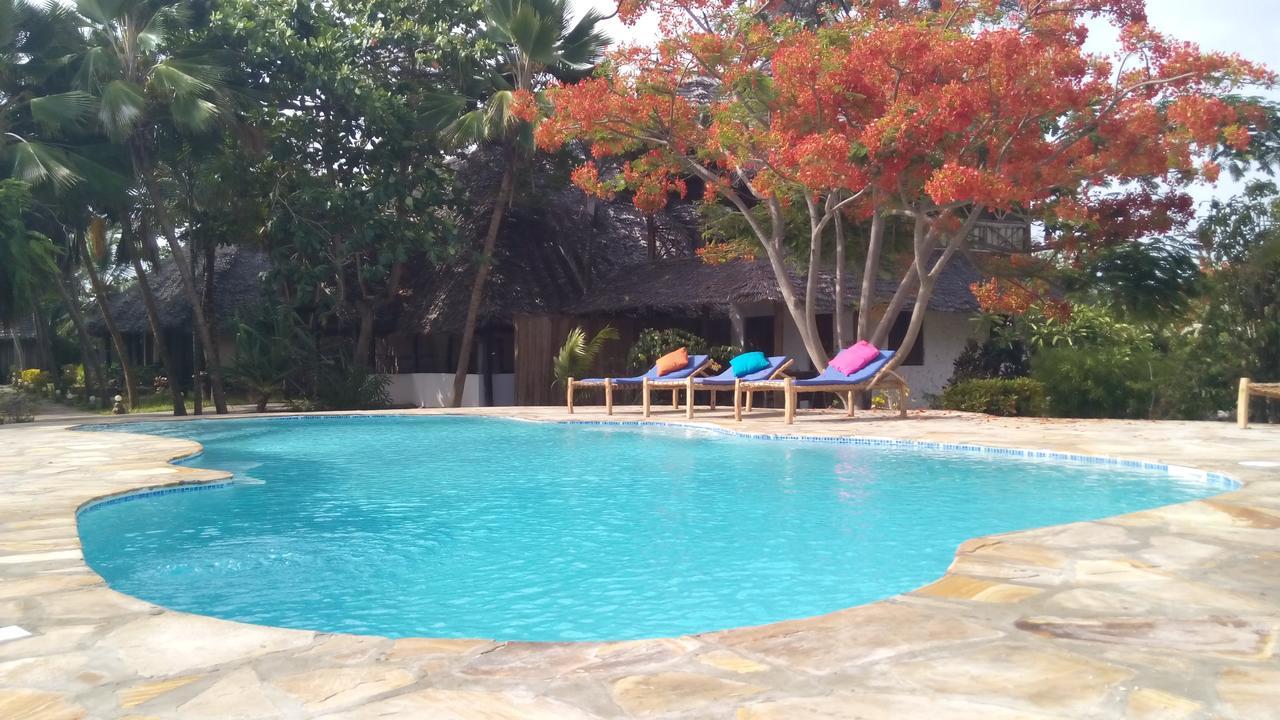 The Coco Paradise Jambiani (Zanzibar)
