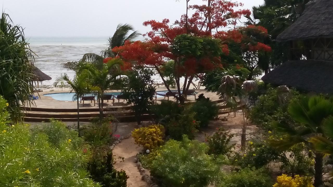 The Coco Paradise Aparthotel Jambiani (Zanzibar)