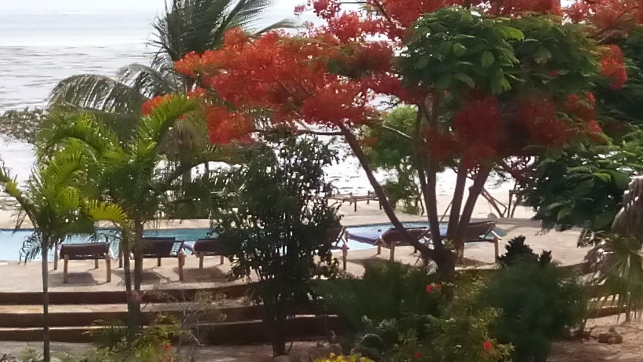 Aparthotel The Coco Paradise
