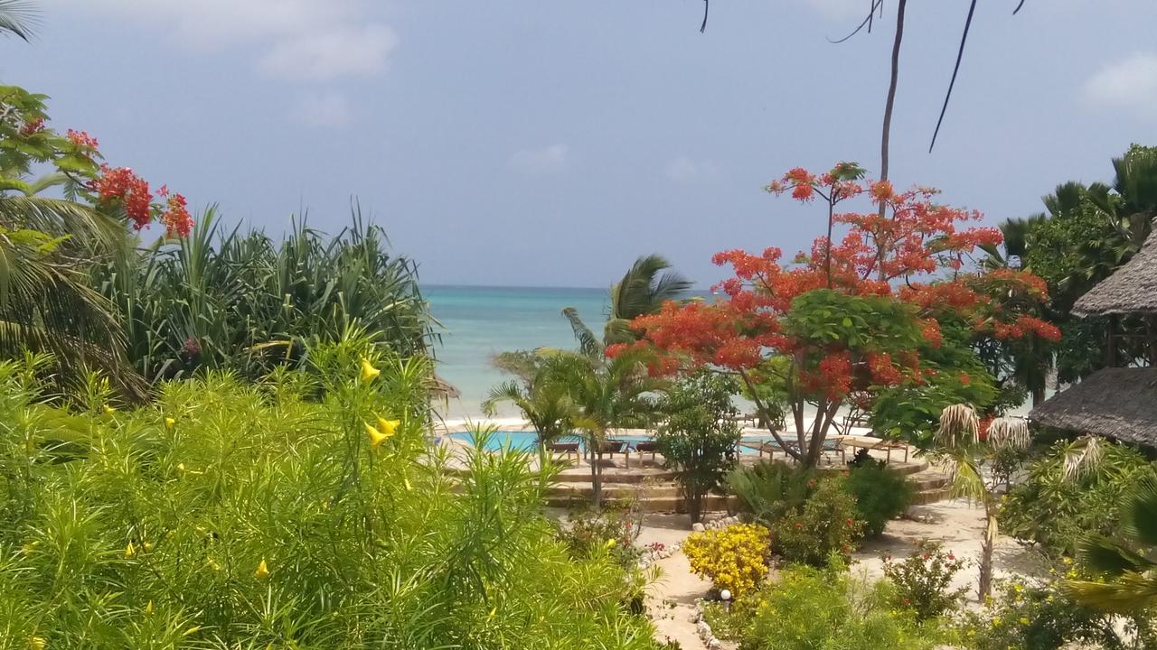 The Coco Paradise * Jambiani (Zanzibar)