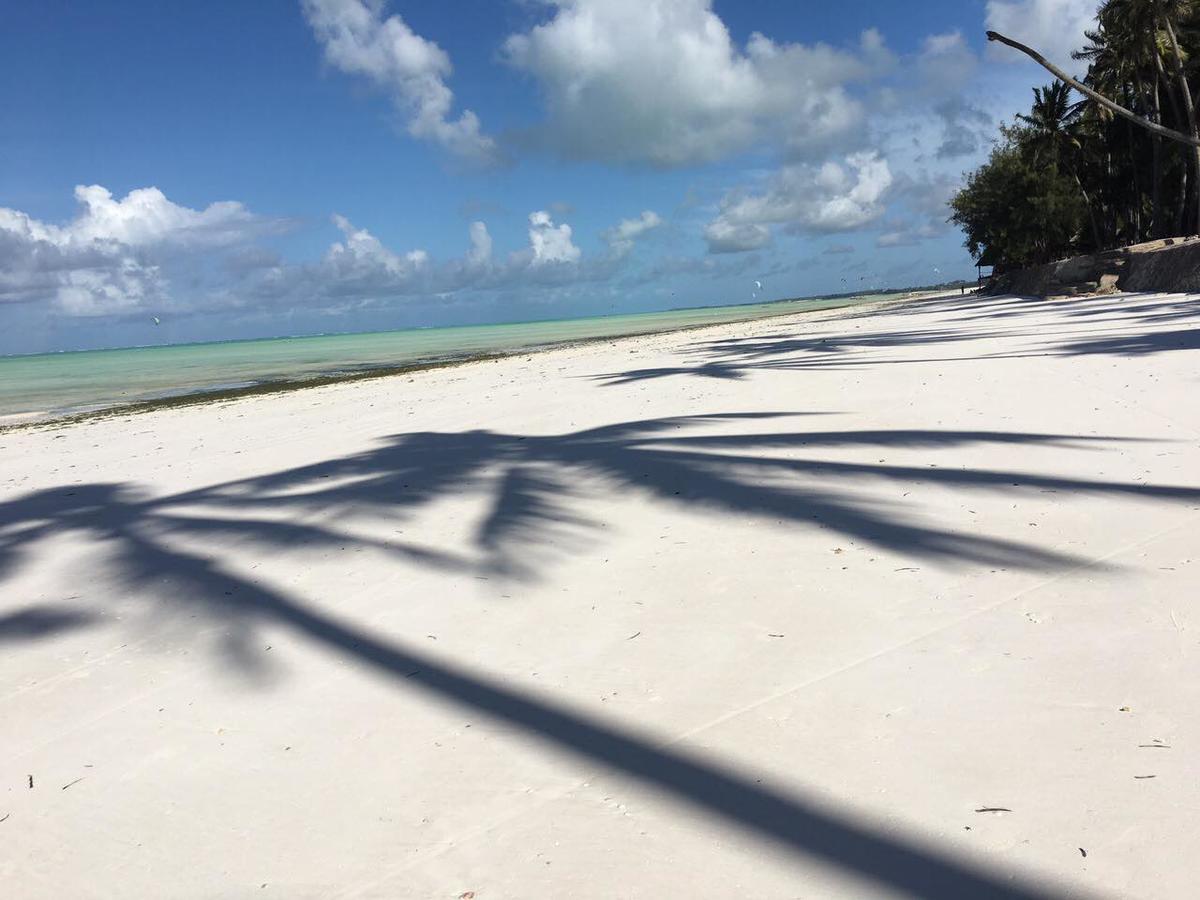 White Sands * Paje