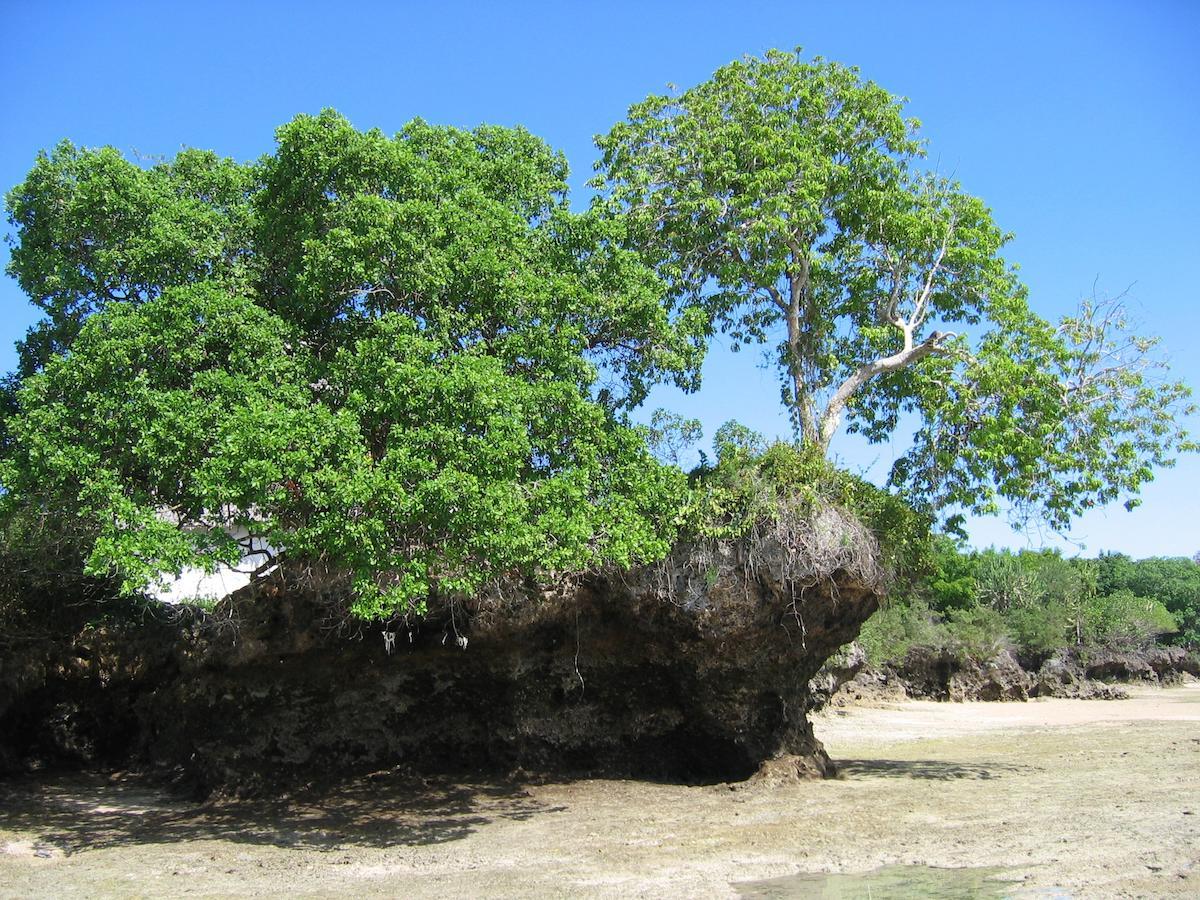 Resort Chapwani Private Island Grave Island