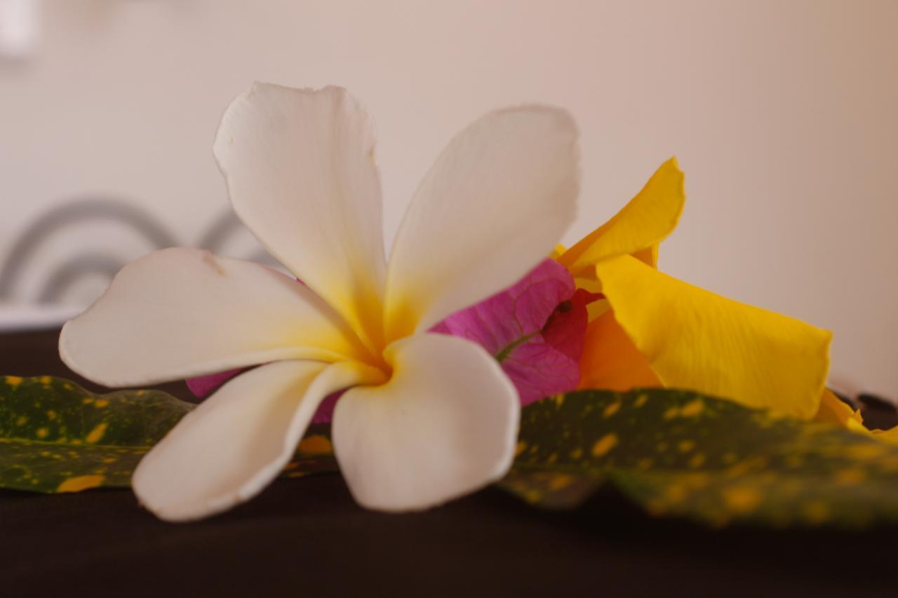 Hotel Mermaids Cove Beach & Spa Uroa
