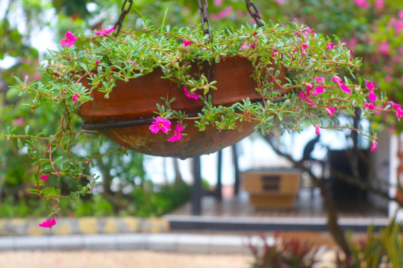 Hotel Mermaids Cove Beach & Spa 4*