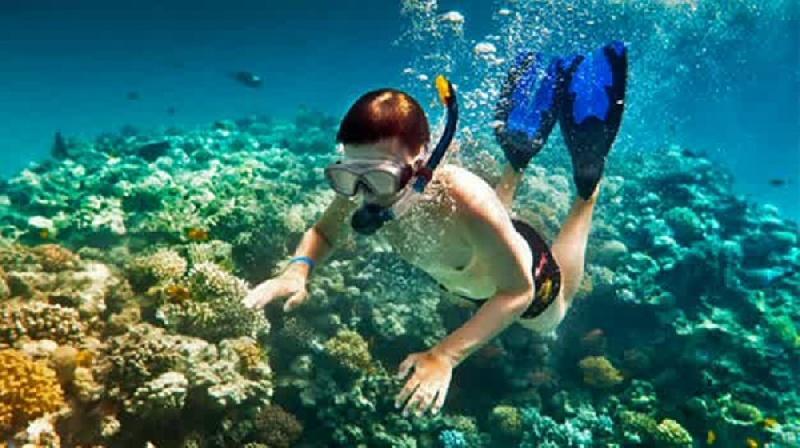 Baraka Aquarium Frühstückspension Nungwi