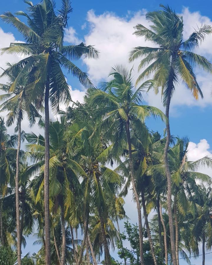 Green's Nungwi