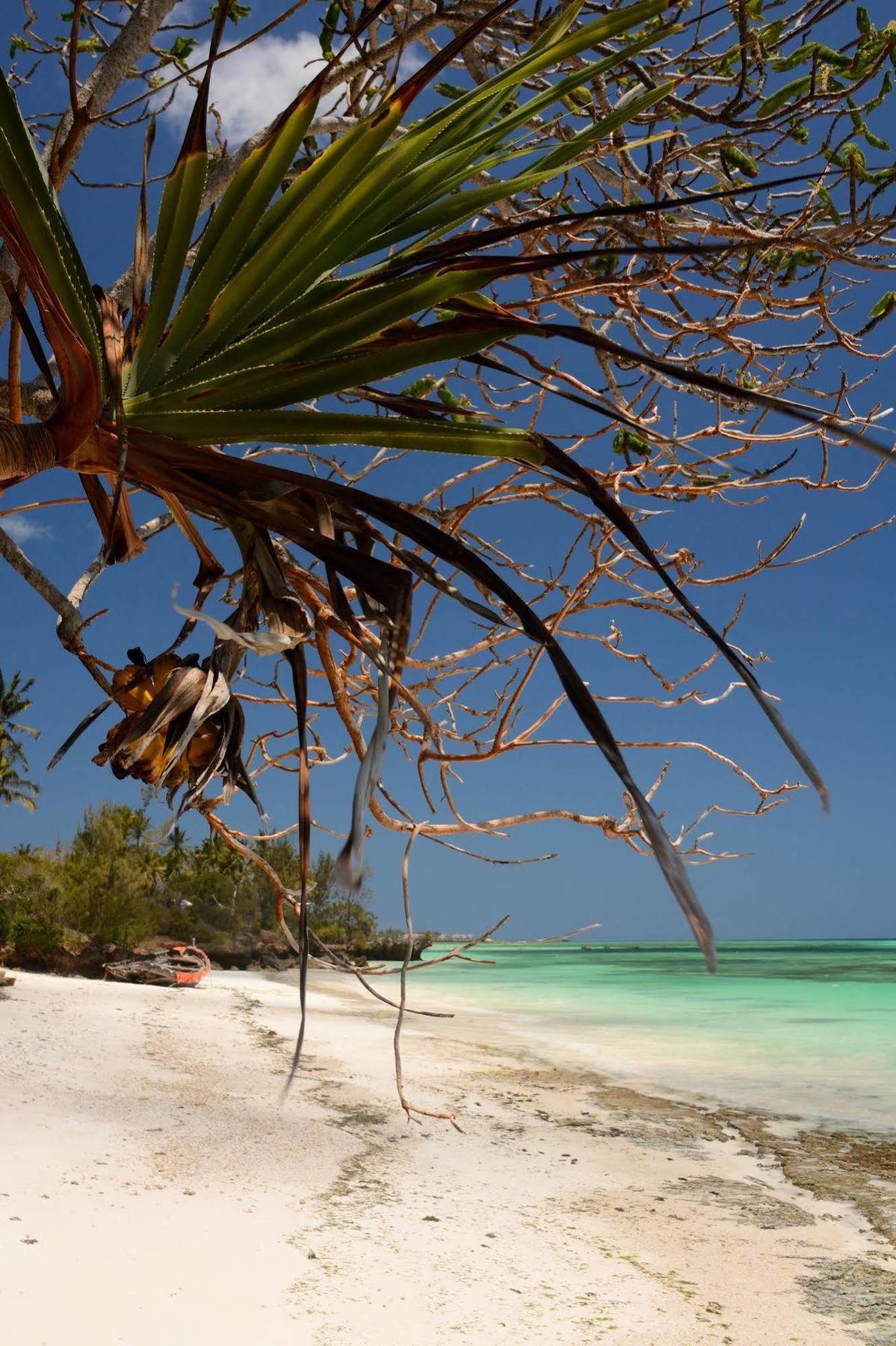 Unguja Zanzibar