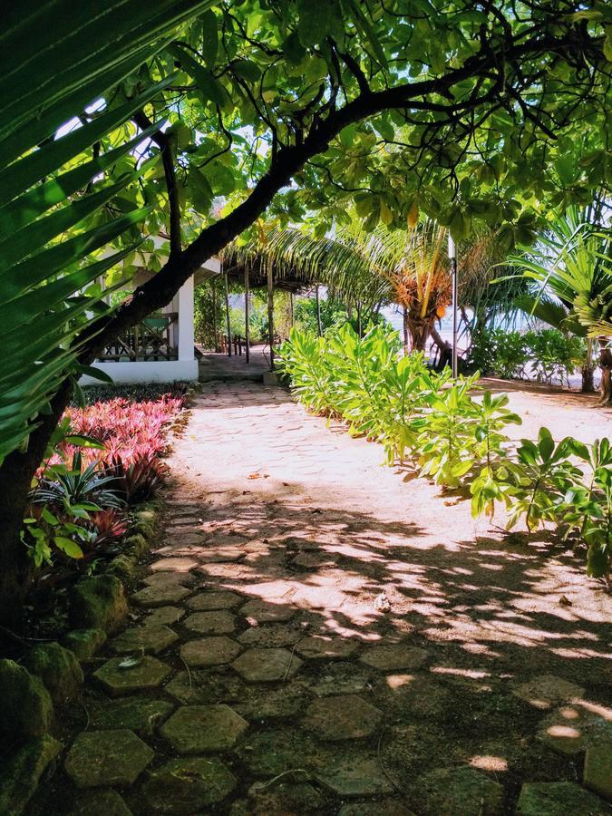 Panga Chumvi 3* Matemwe (Zanzibar)