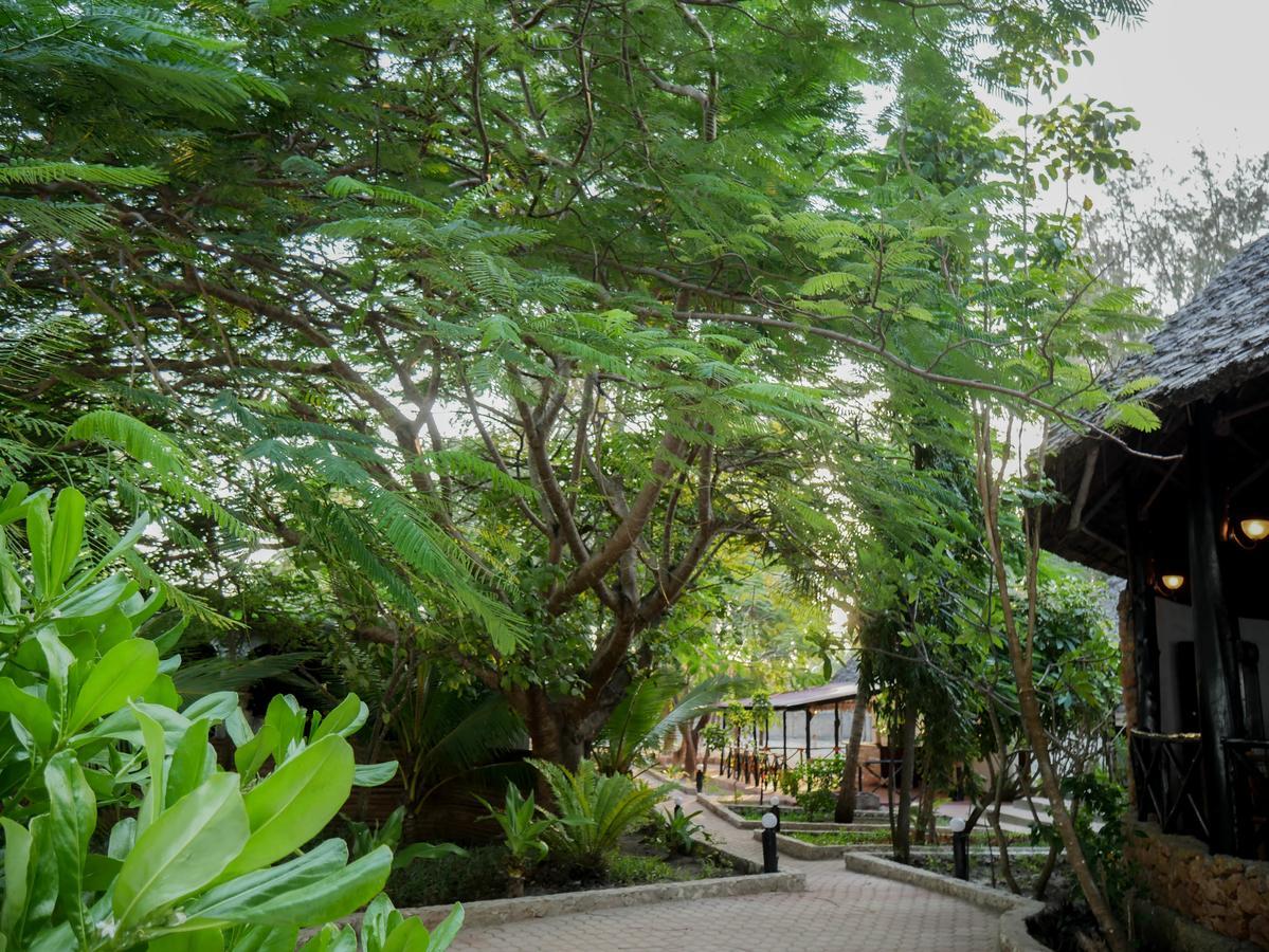 Hotel Sherekea Bwejuu
