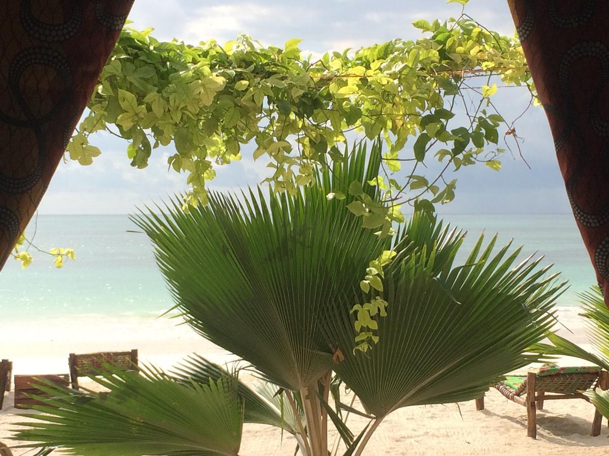 Bed & Breakfast Simba Zanzibar Kiwengwa (Zanzibar)