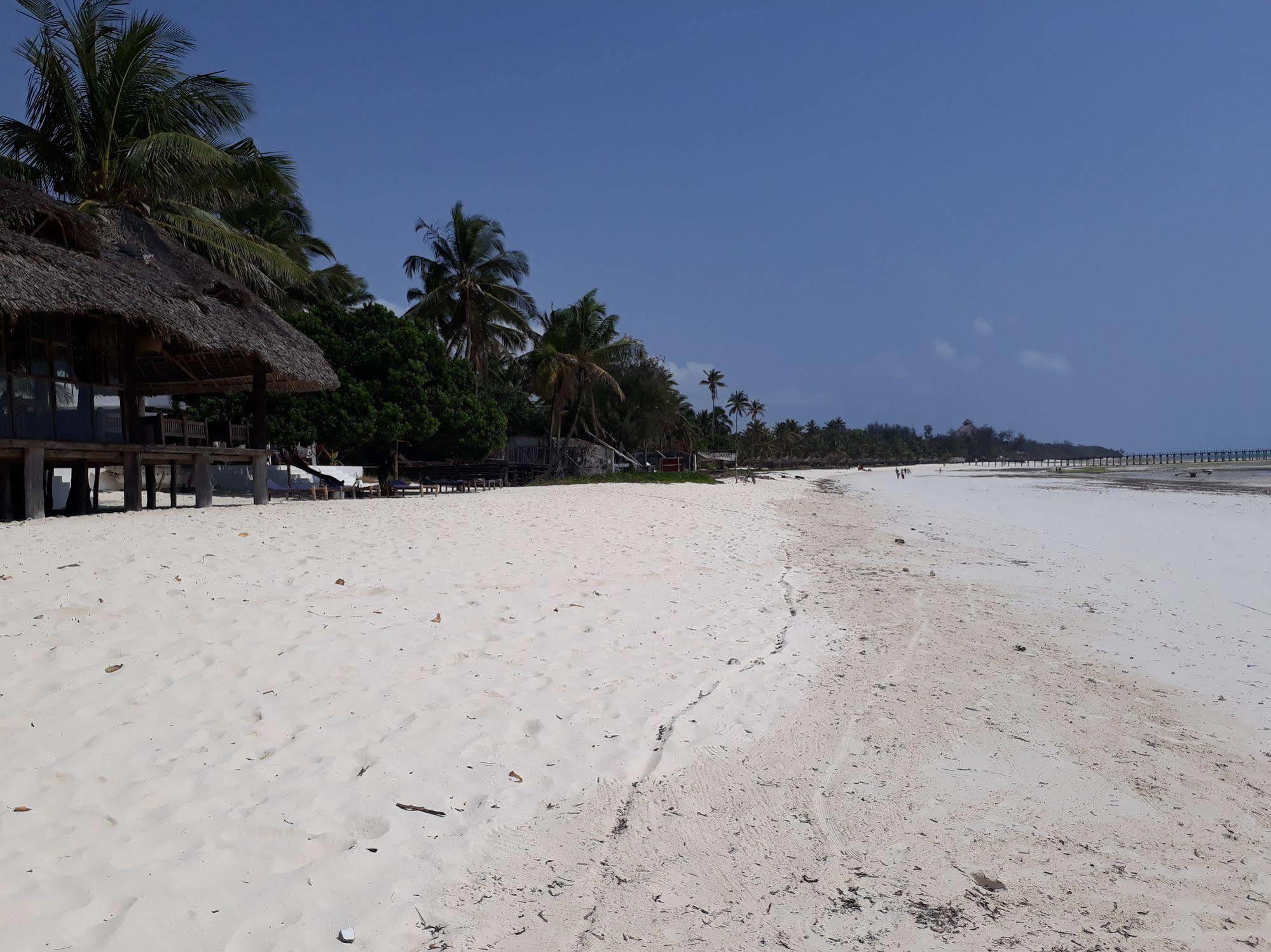 Albatross Ocean View 4* Dongwe