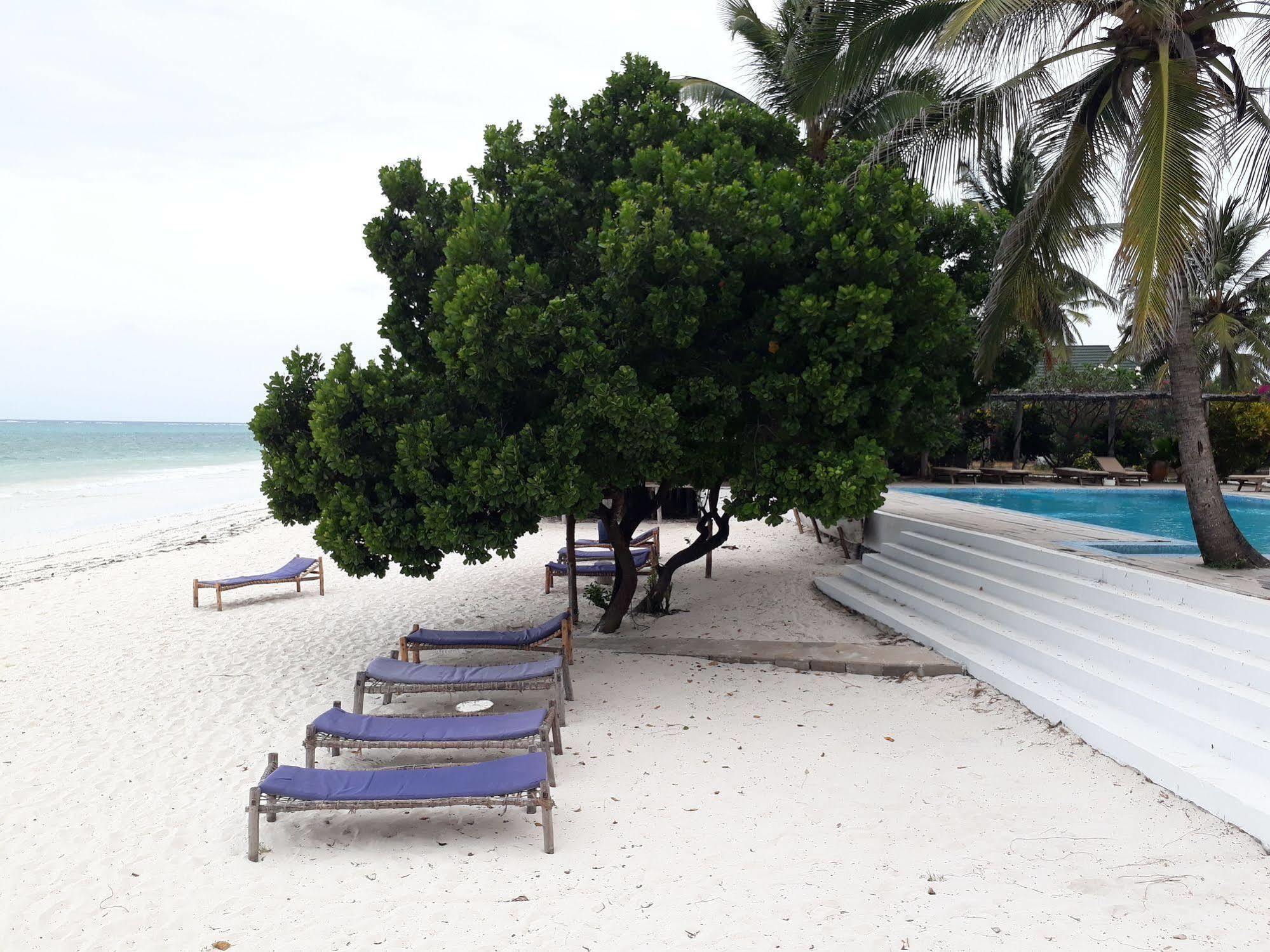 Albatross Ocean View 4*