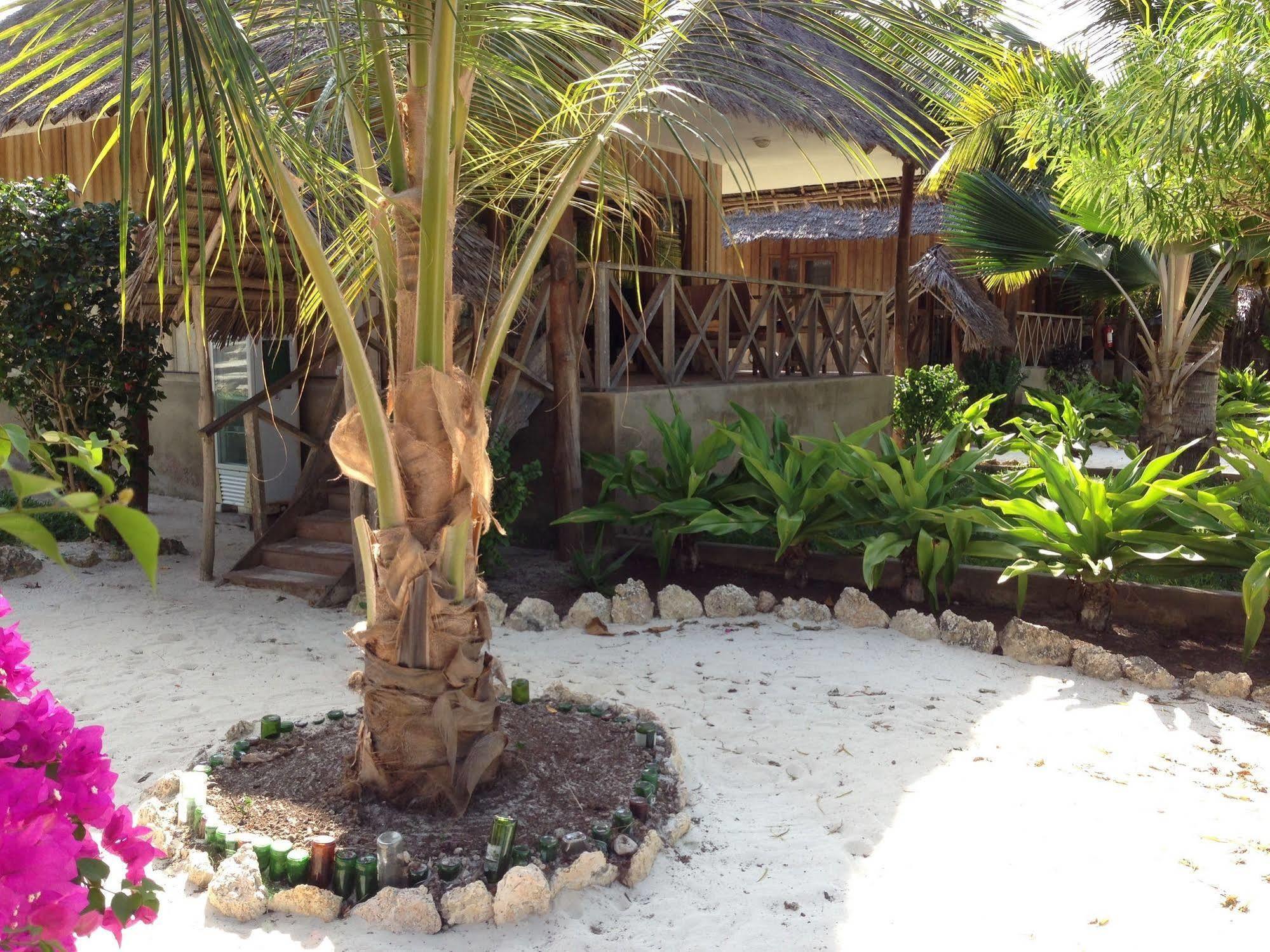 The Cove 3*
