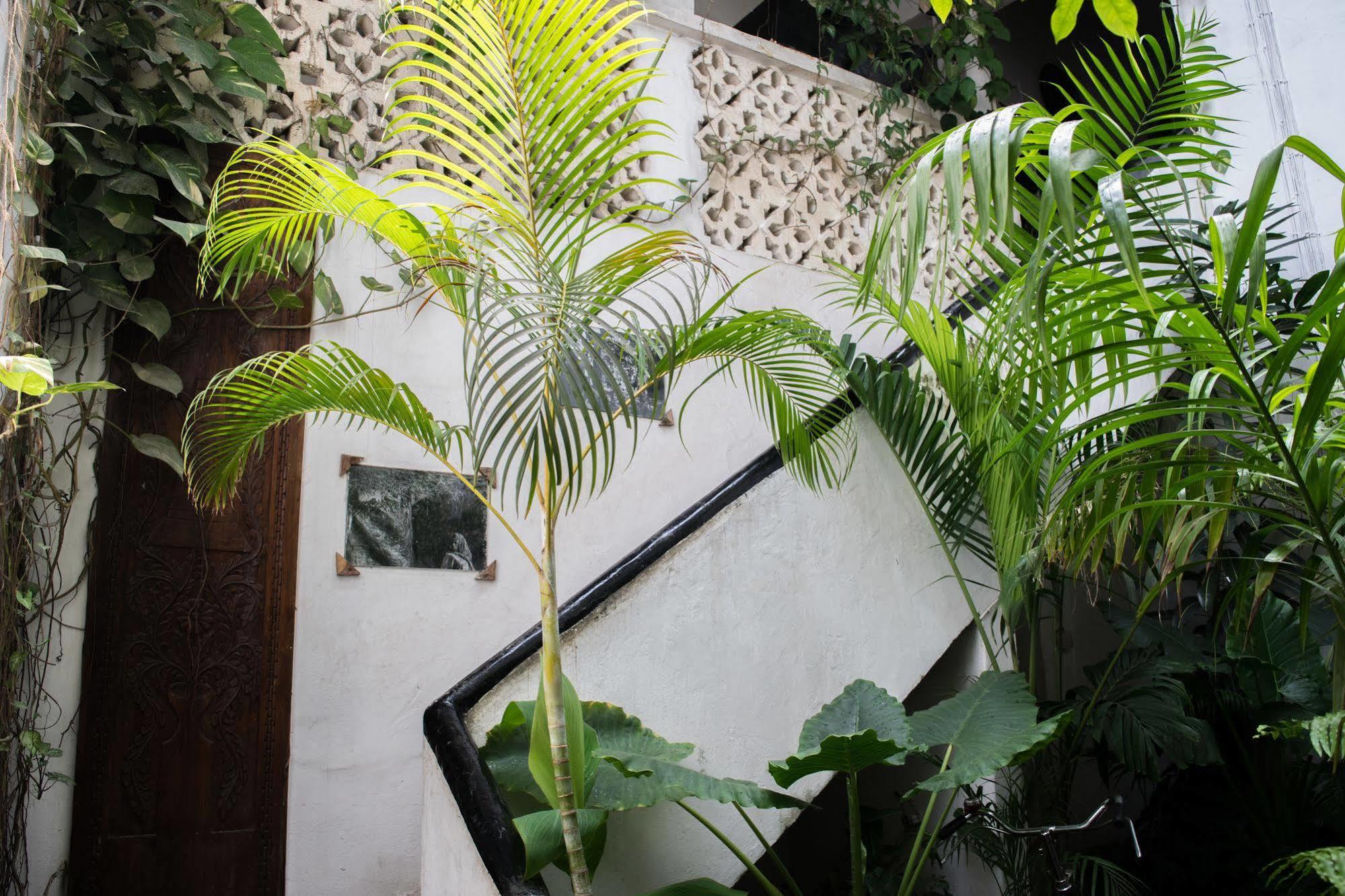 Hotel Malindi Boutique 3*