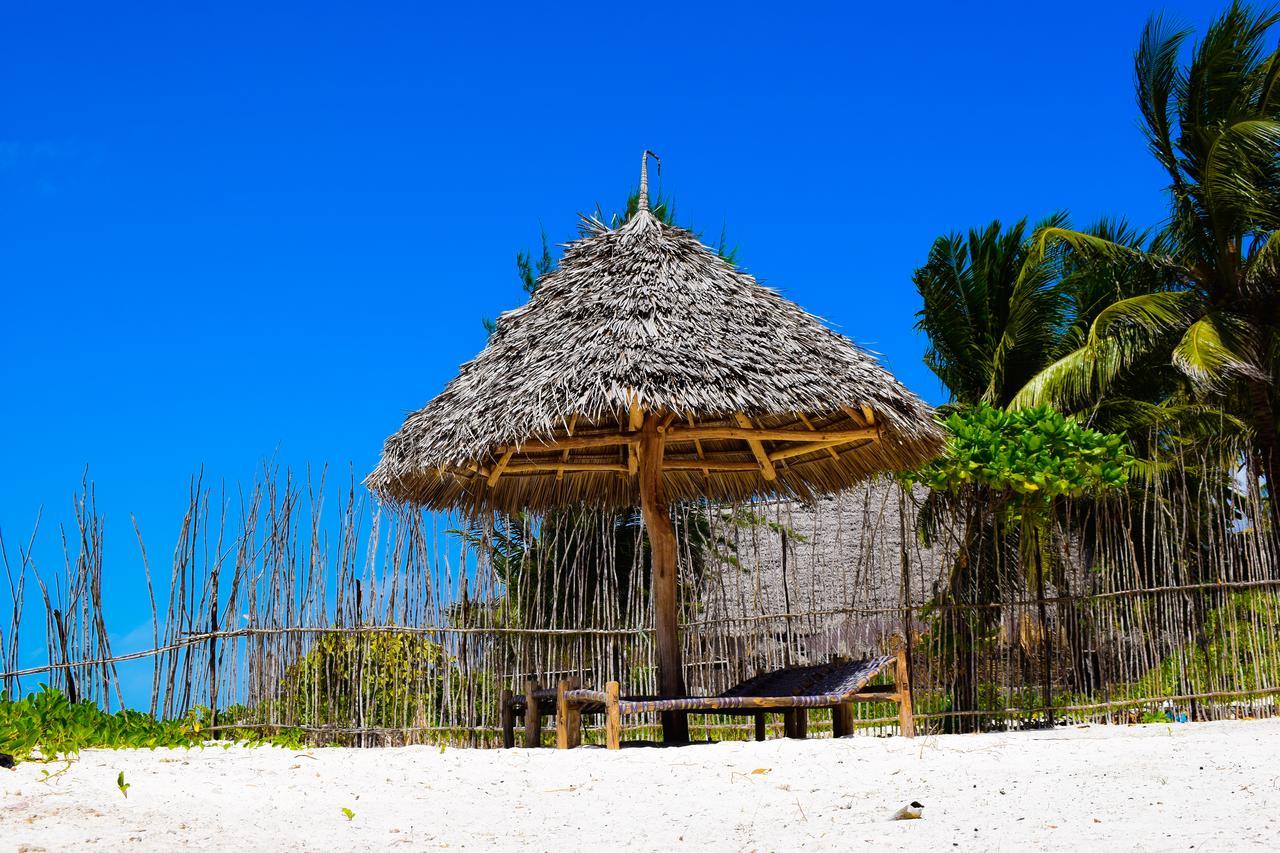 Palm Guest house