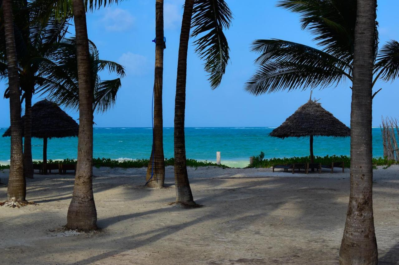 Palm 3*
