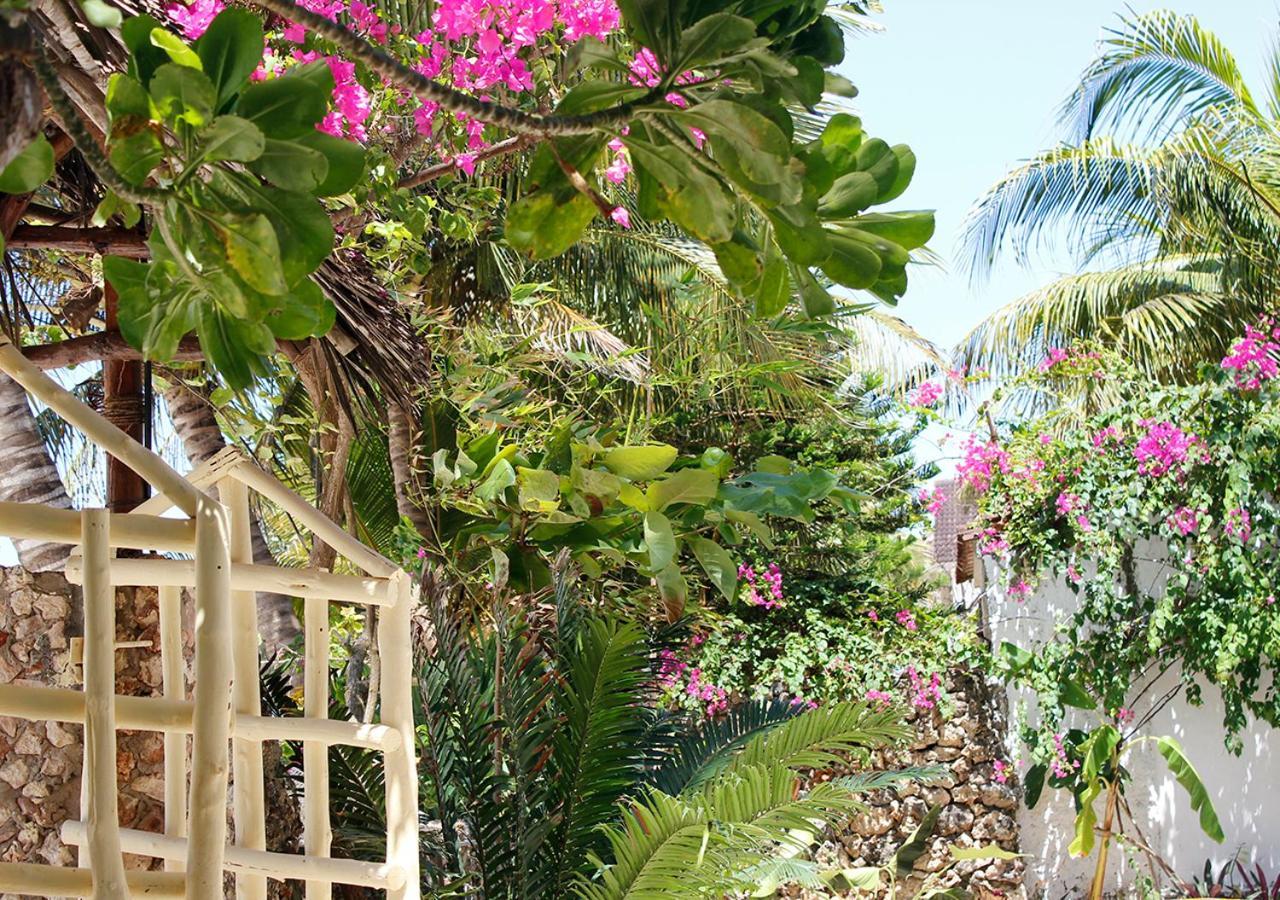 Villa Moyo Villa Kipara *