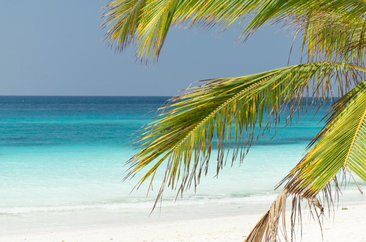 Tikitam Palms Boutique 5*