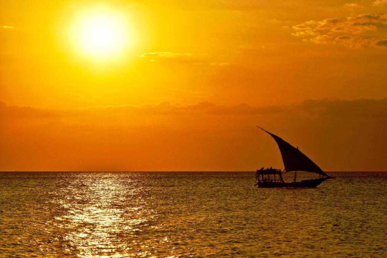 Mangrove Zanzibar