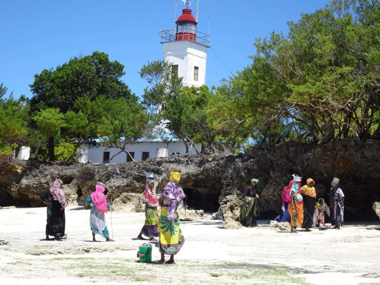 Dodoki Beach B&B Bed & Breakfast Nungwi