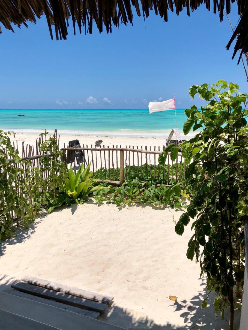 Guest house Zanzistar Lodge Jambiani (Zanzibar)