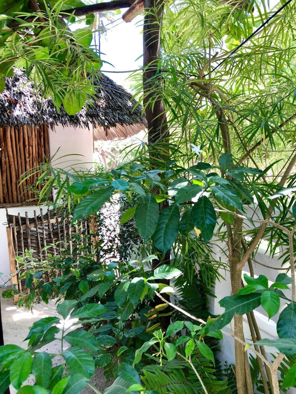 Zanzistar Lodge Jambiani (Zanzibar)
