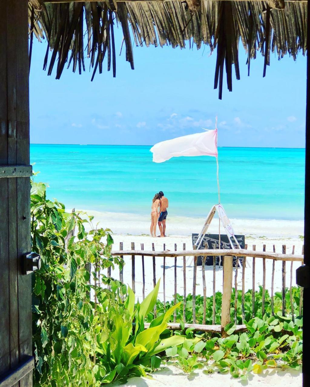 Guest house Zanzistar Lodge