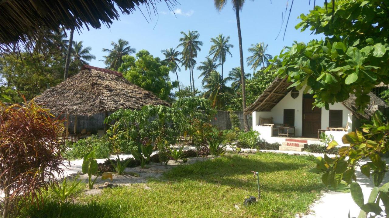 Kaskazi Beach Bed & Breakfast Nungwi