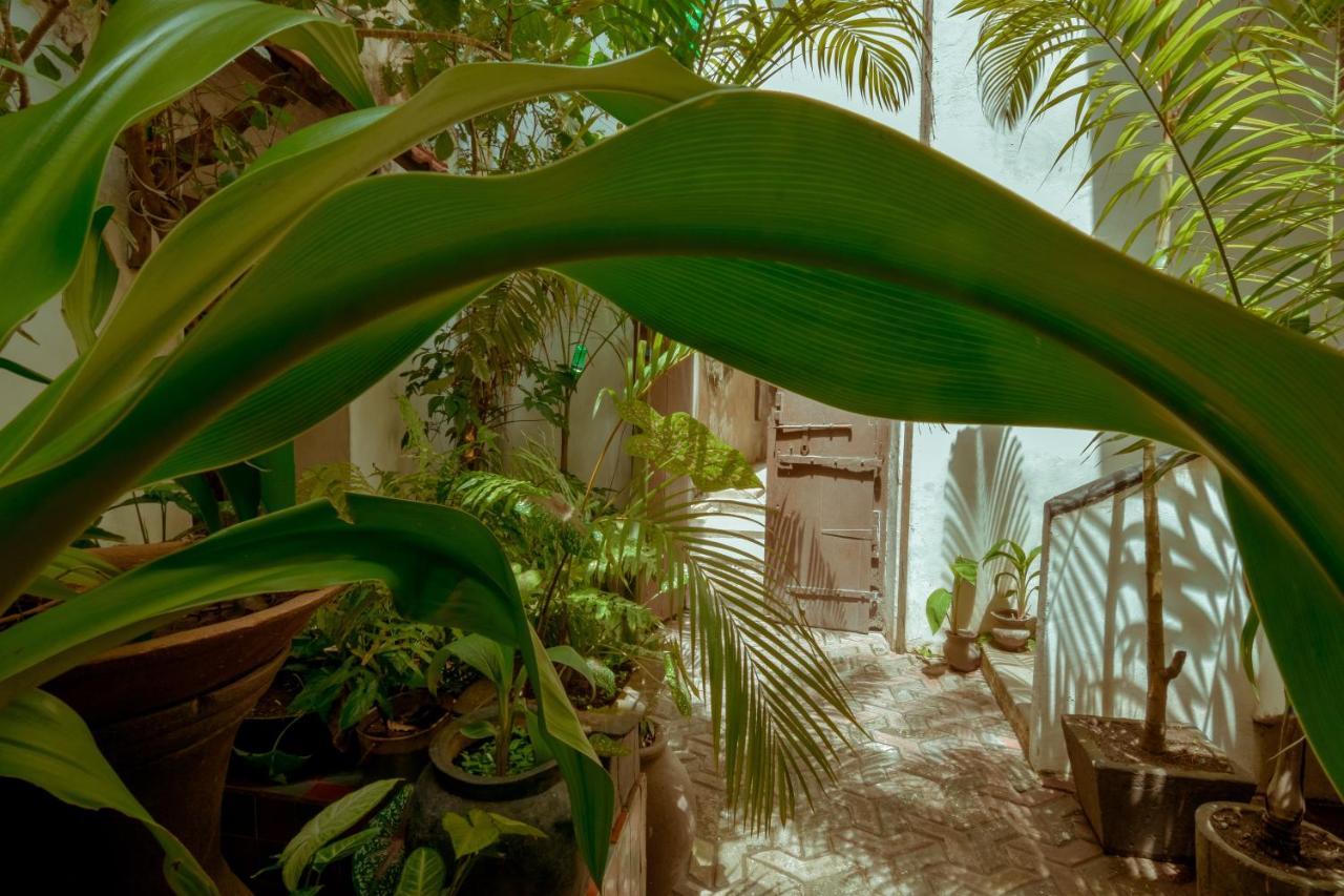 Gasthuis Malindi Zanzibar