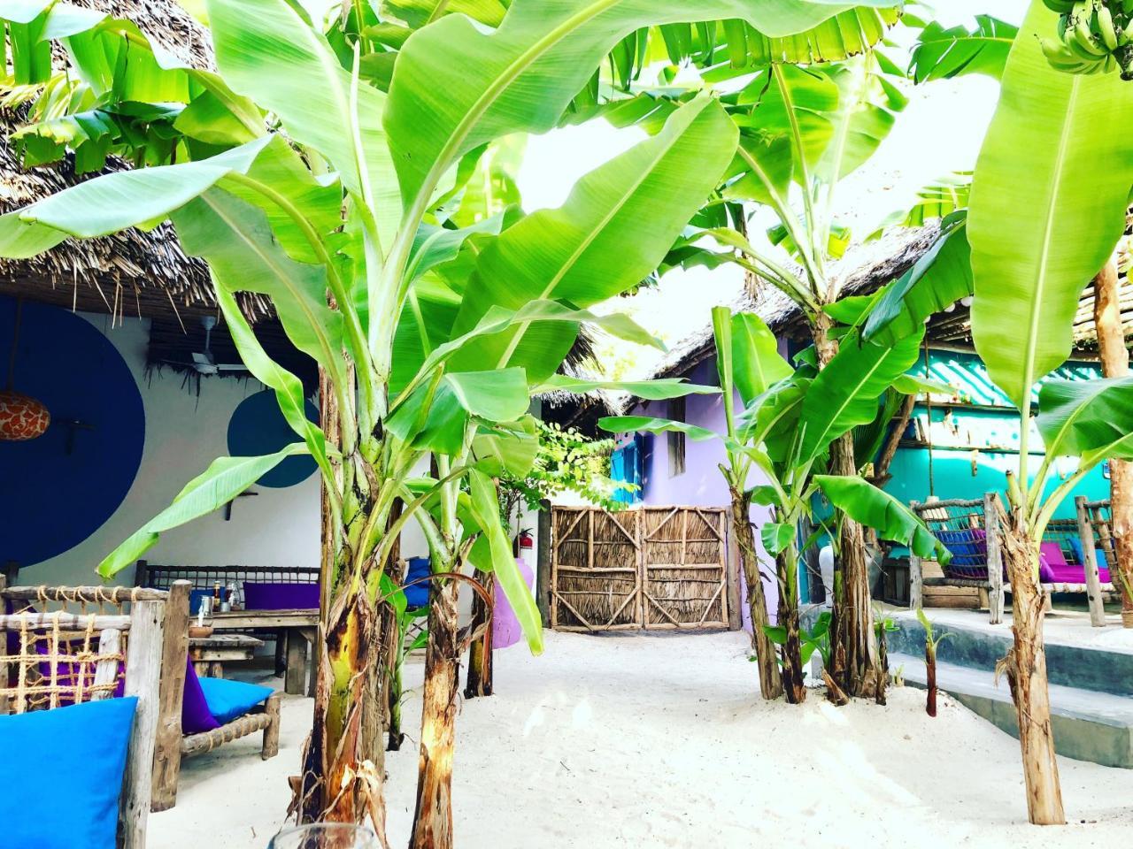 Zanzistar Lodge 3* Jambiani (Zanzibar)