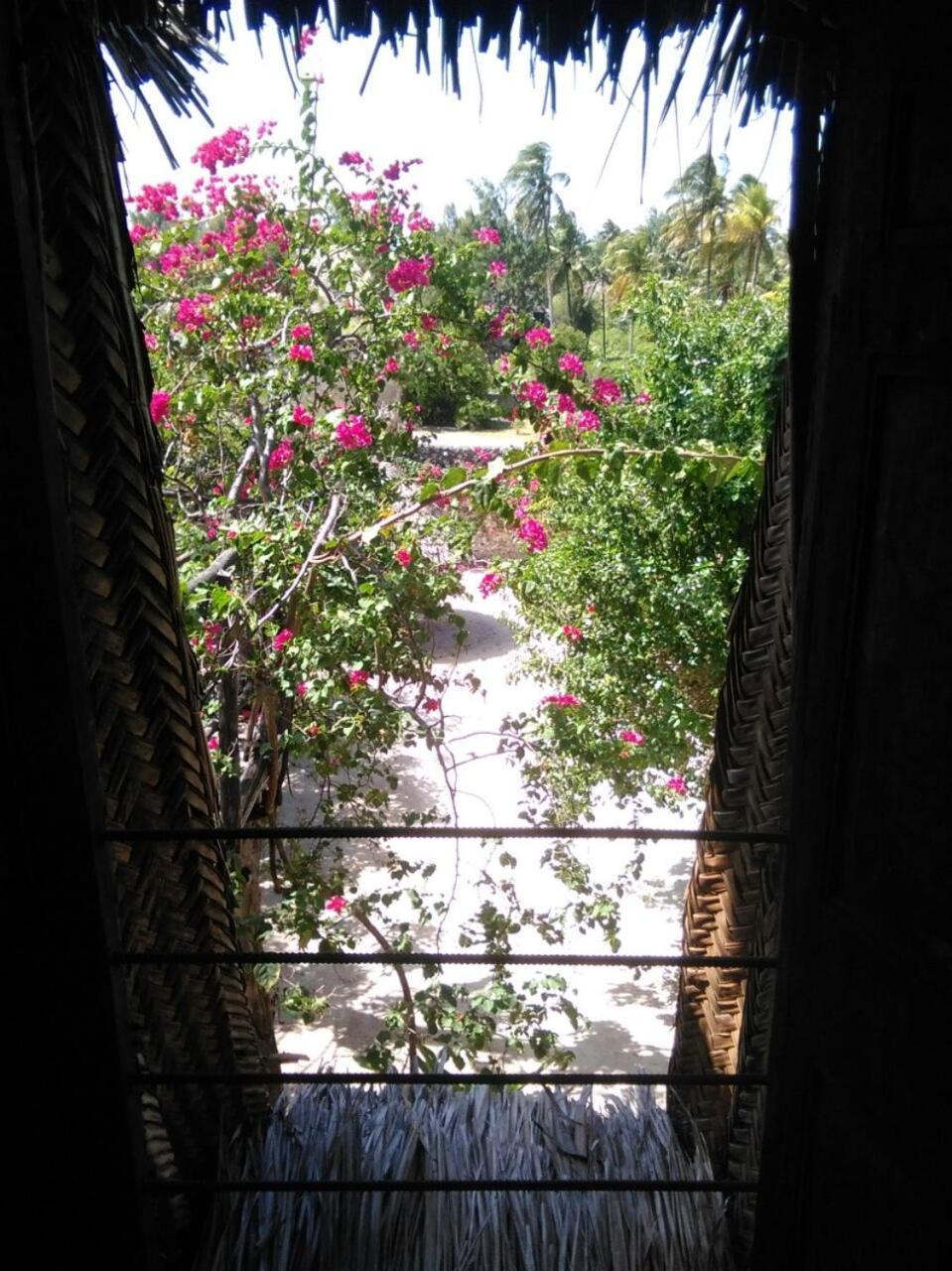 Paje Hotel